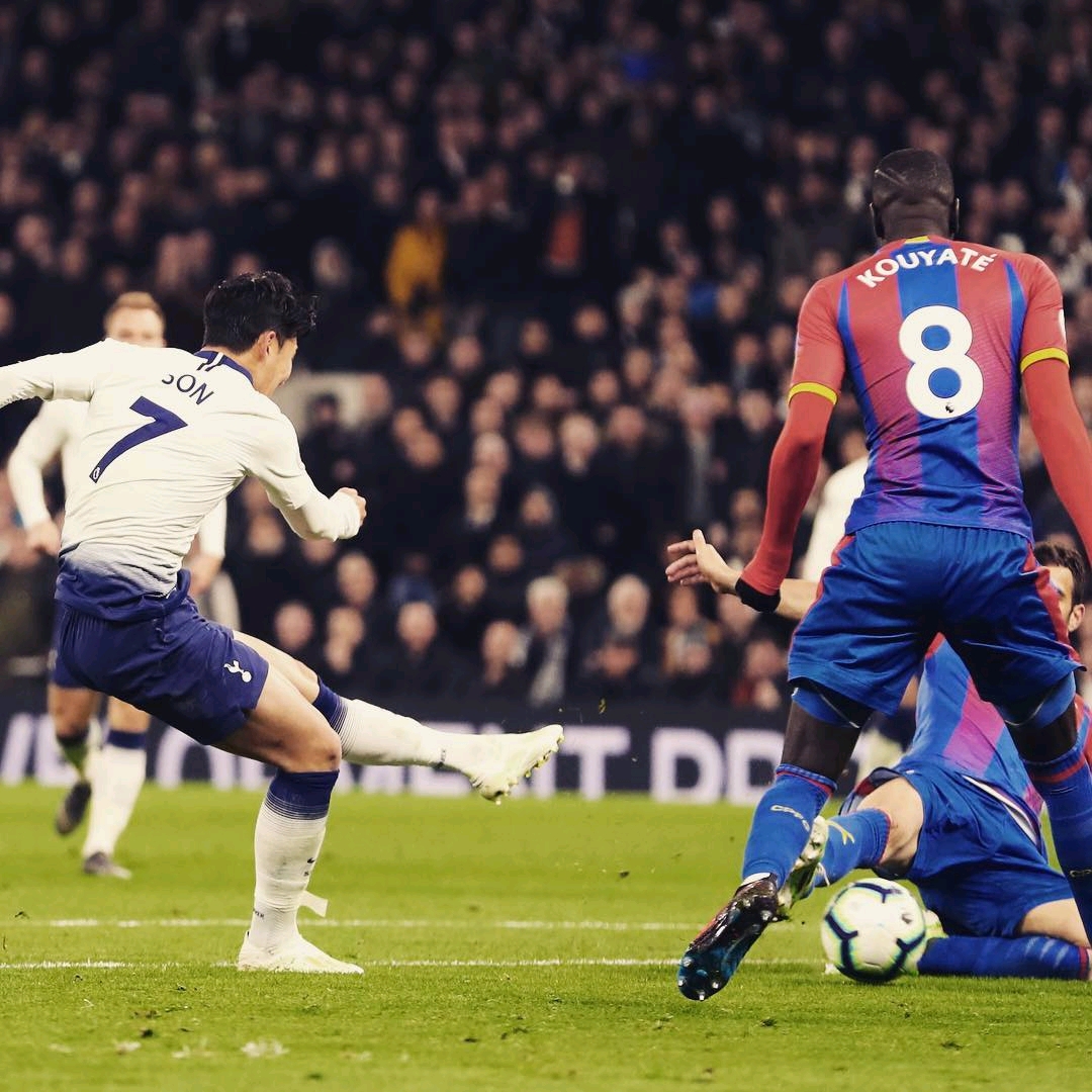 没有胜算 没有胜算